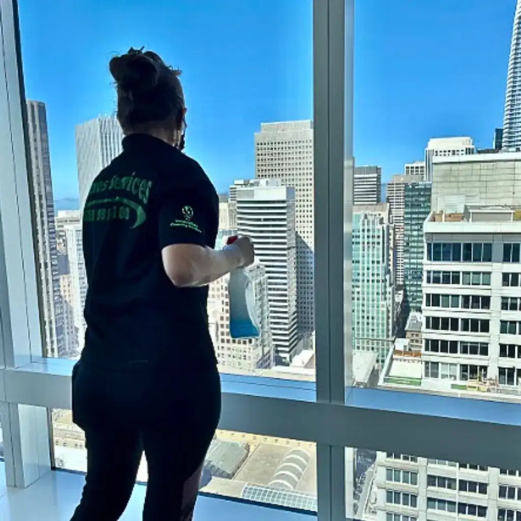 services window cleaning