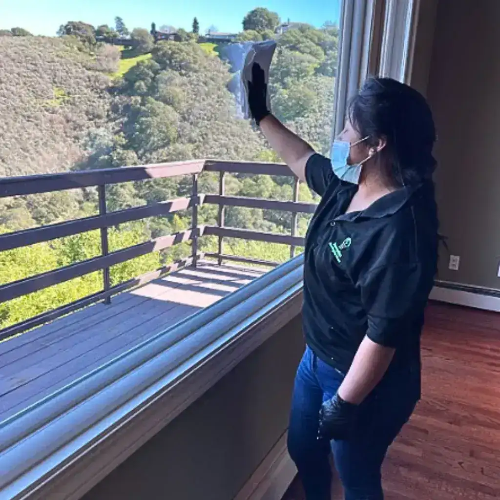 window cleaner services