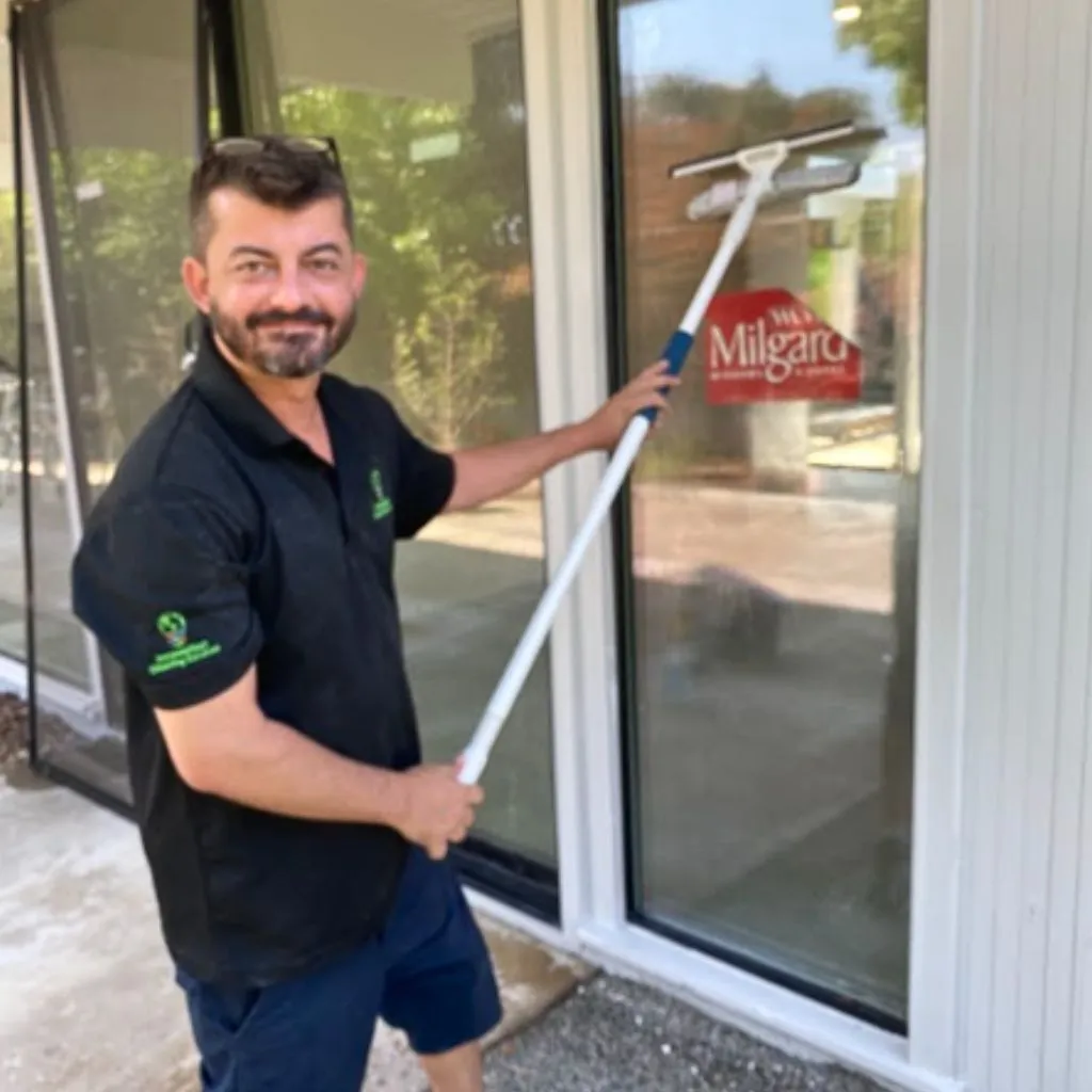 window washing services
