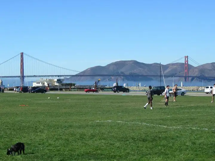 About Marina Green
