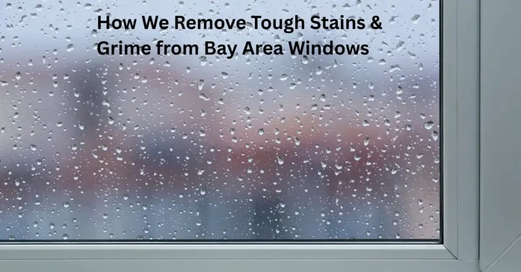 How We Remove Tough Stains & Grime from Bay Area Windows